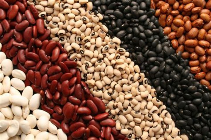 Are dried beans high in iron