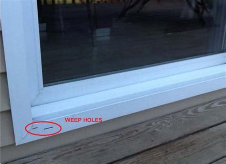 Can bugs get in through weep holes?