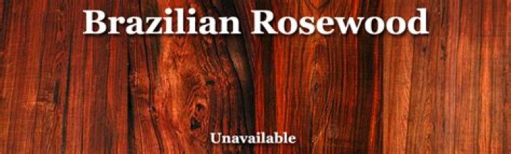 Can you buy Brazilian rosewood