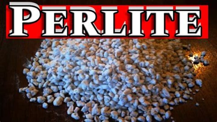 Can you eat perlite