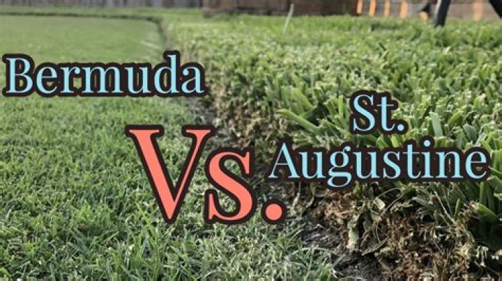 Can you lay St Augustine over Bermuda?