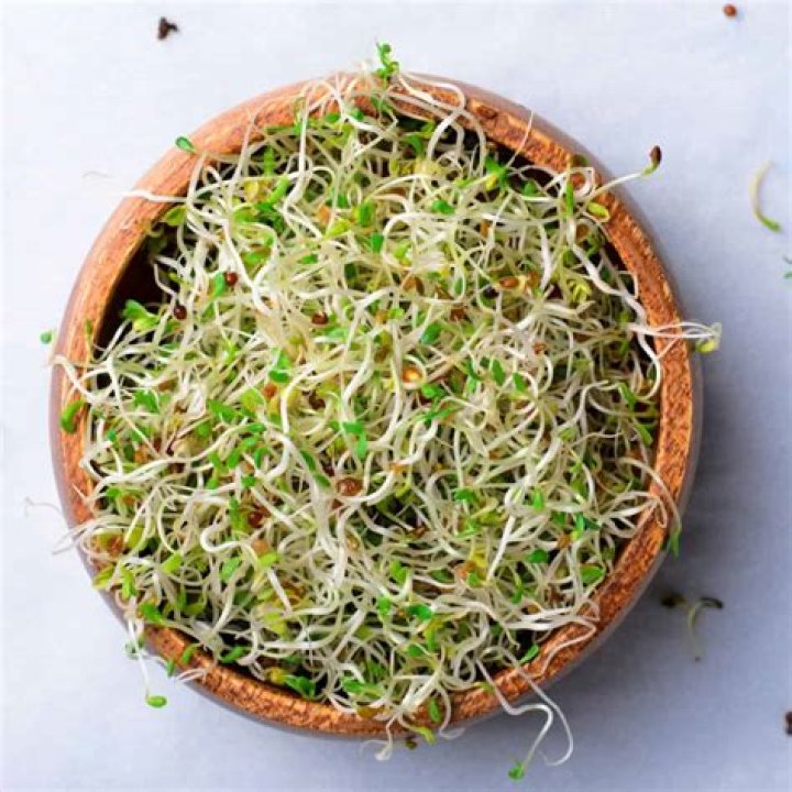 Can you regrow radish sprouts?