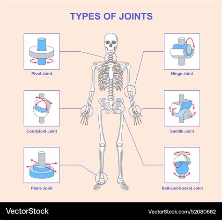 Can you roll small joints