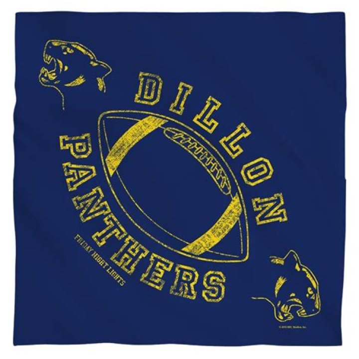 Do Dillon Panthers win state?