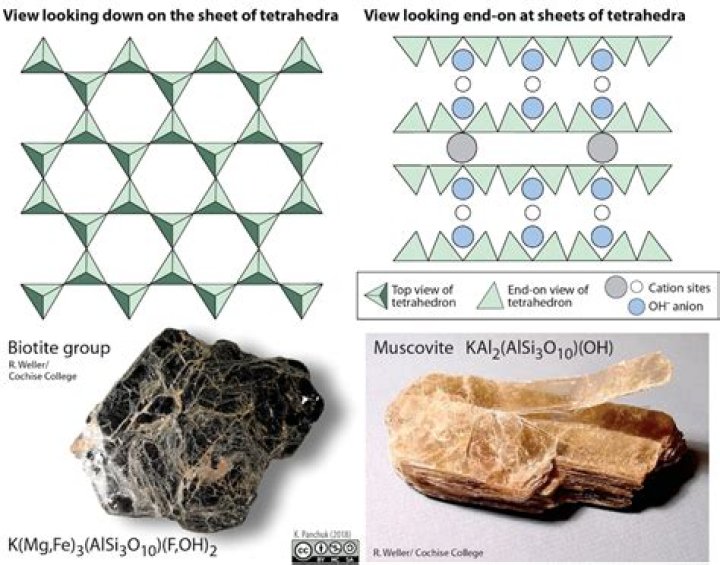 Does biotite have silica?