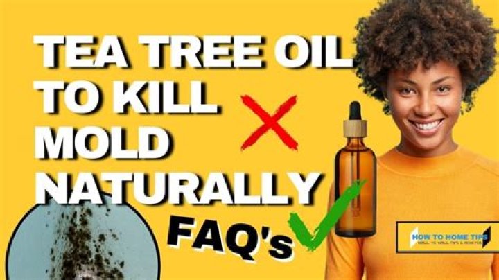Does Tea Tree Oil remove Mould