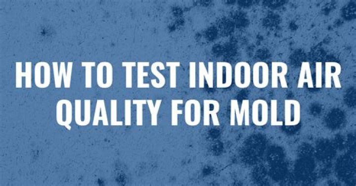 How can you test for mold in the air?