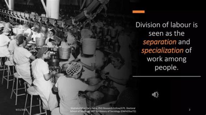 How did the division of labor affect society?