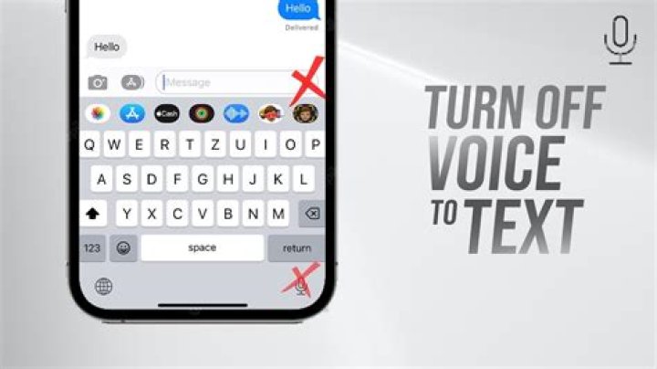 How do I turn off the voice when typing?