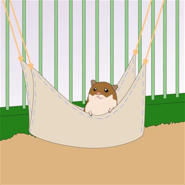 How do you make a hamster hammock?