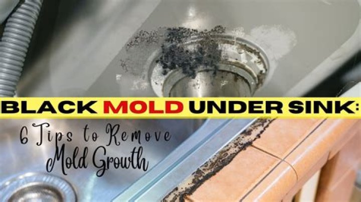 How do you prevent mold under kitchen sink