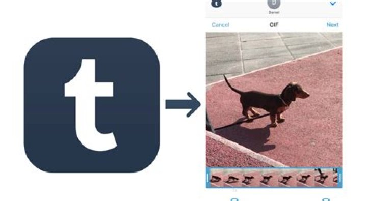 How do you put GIFs on Tumblr iMessage?
