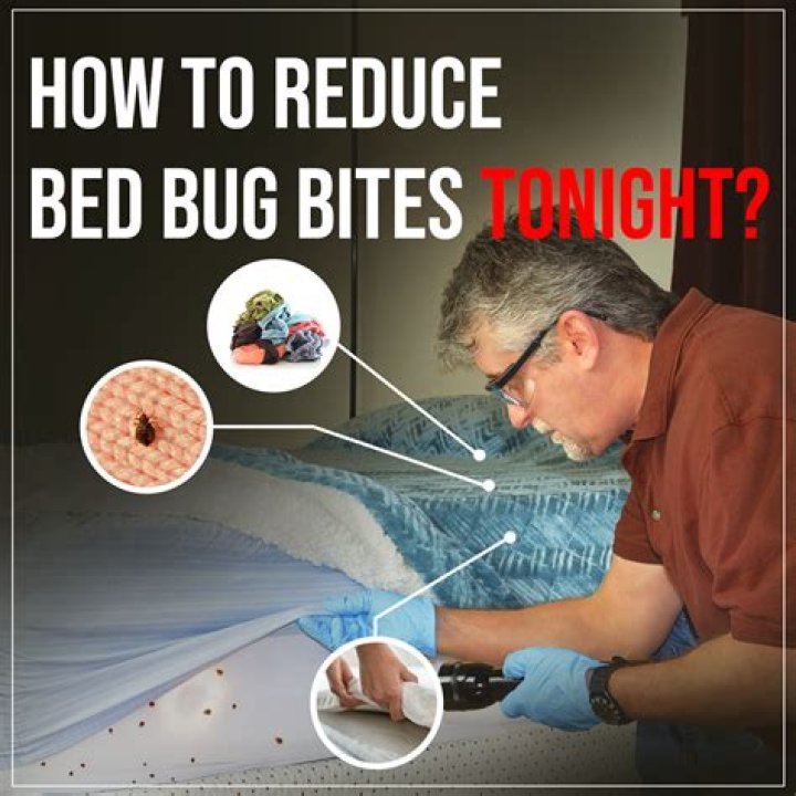 How long does it take to get rid of bedbugs