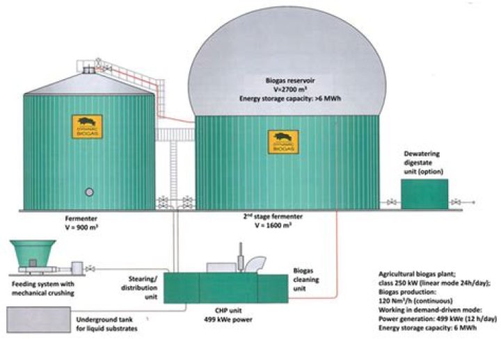 How many biogas plants are in Pakistan?