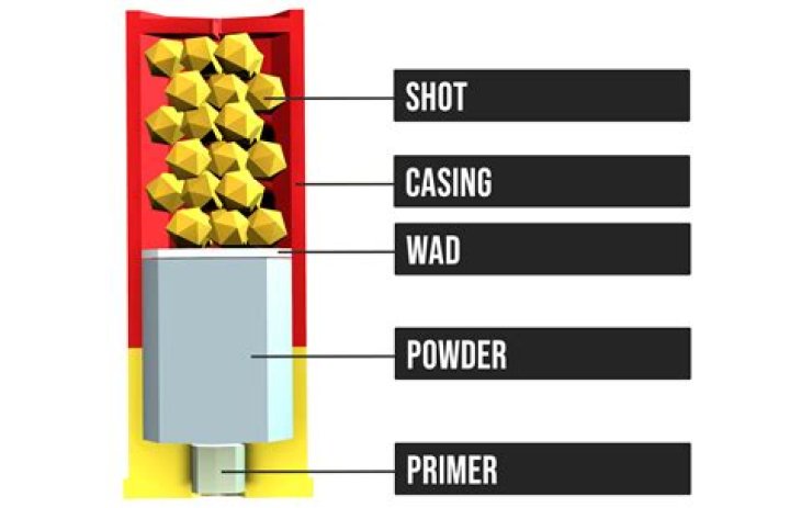 How much powder is in a 12 gauge shotgun shell?