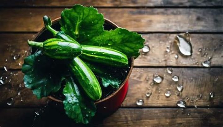 How often should I water courgettes