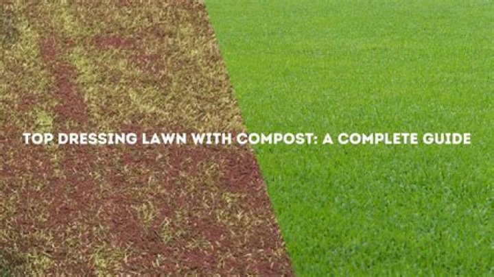 Is compost good for the lawn?