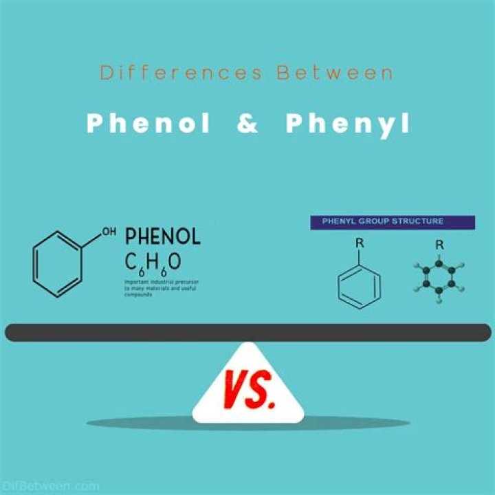 Is phenyl and phenol same?