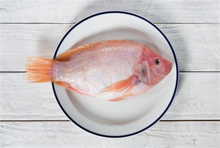 Is tilapia good for weight loss