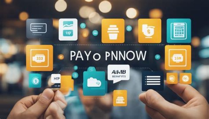 What's the difference between PayNow and PayLah?