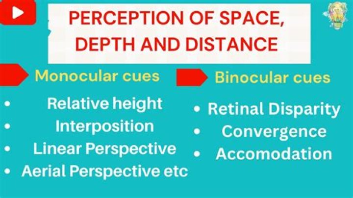 What are two types of depth cues?