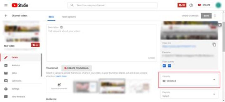 What are unlisted videos?