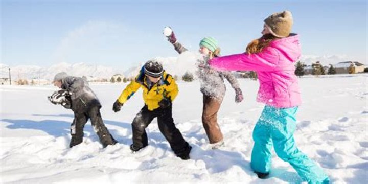 What can adults do on a snow day