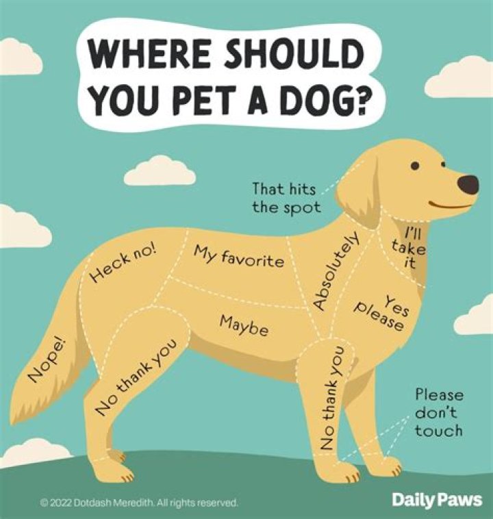 What can I make my dog for a treat?