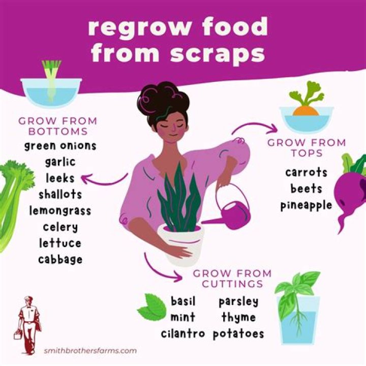 What can you grow from food scraps