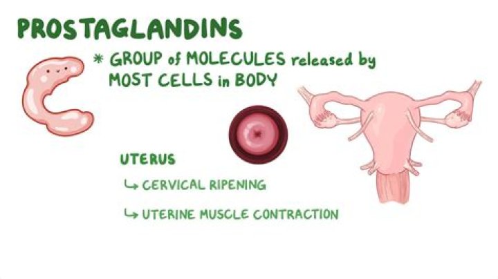 What causes high levels of prostaglandins during period?