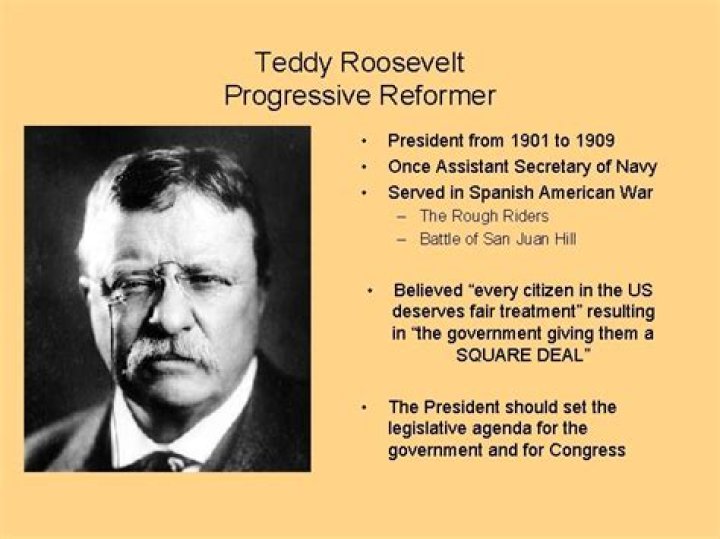 What did Roosevelt do in the Progressive Era