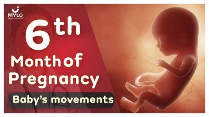 What does a baby look like at 6 months in the womb?