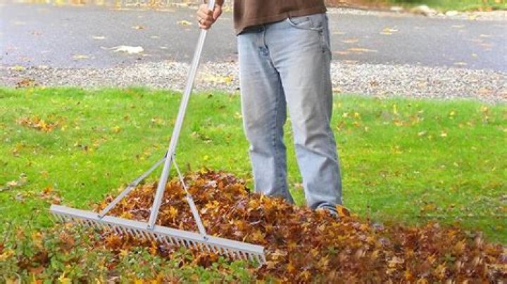 What does being a rake mean