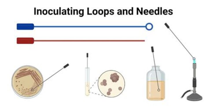 What does it mean to inoculate seeds?