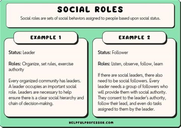 What is a social agent?