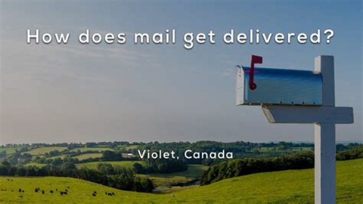 What is delivered to in email header?