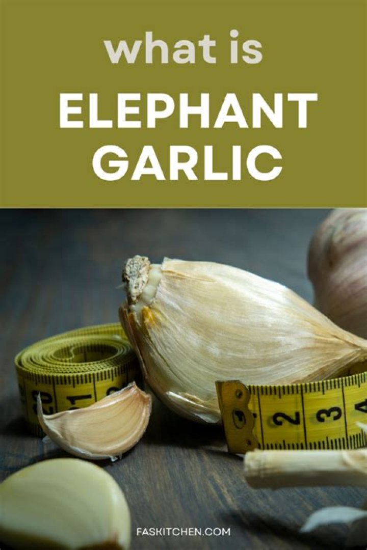 What is elephant garlic used for