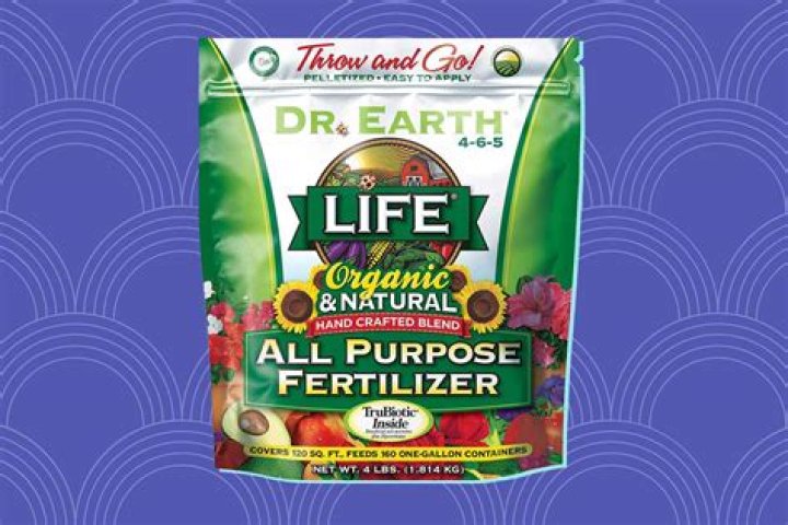 What is the best fertilizer for cassava