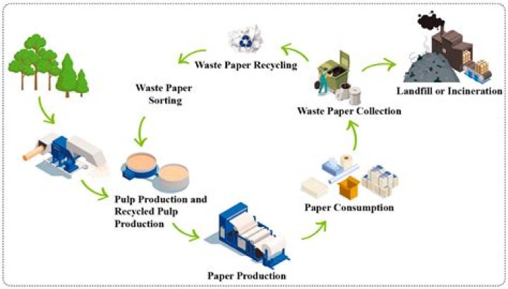 What is the cost of paper recycling machine?