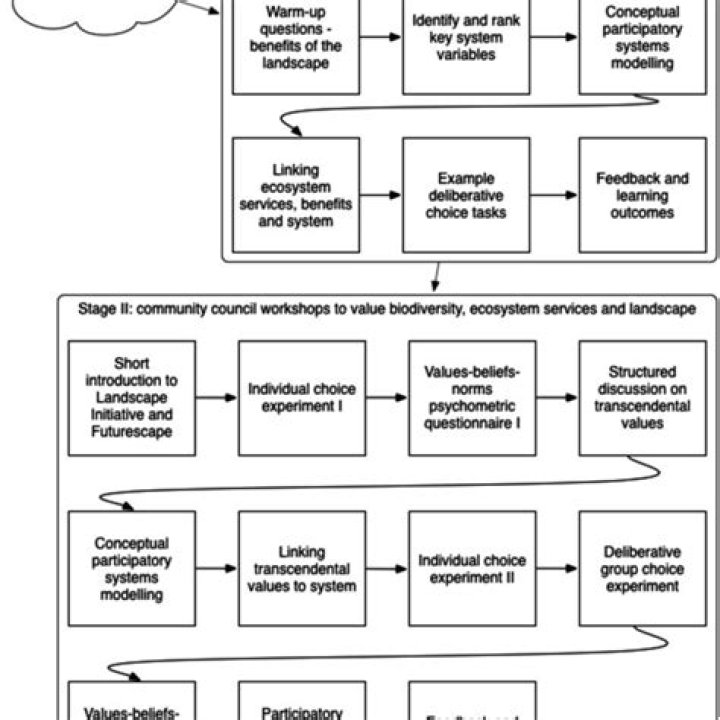 What is the deliberative model