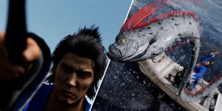 What is the fish that jumps into boats?