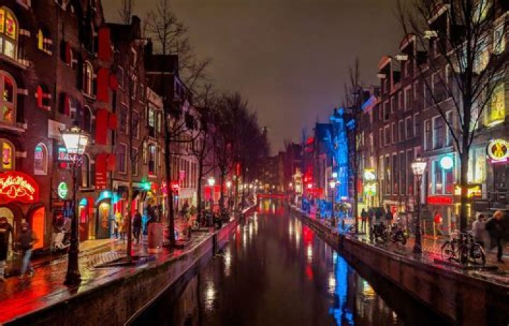 What is the GREY area Amsterdam?