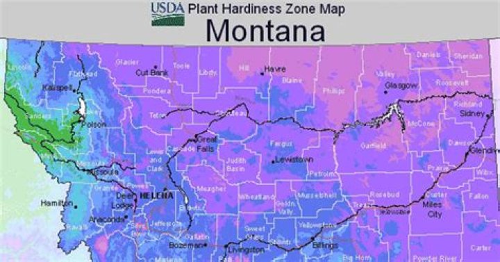 What is the growing zone for Montana