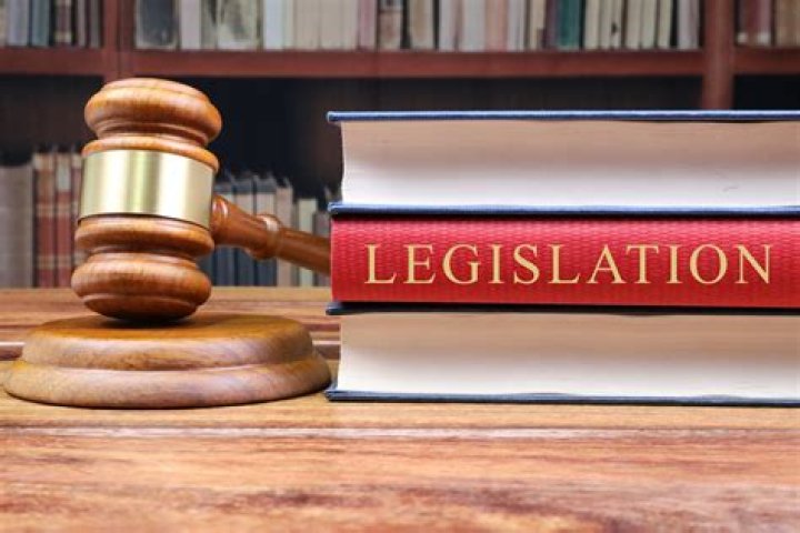 What is the meaning of legislation and regulation?