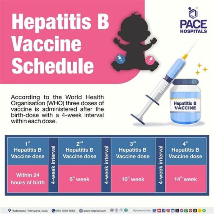 What is the schedule for hepatitis B vaccine for adults?