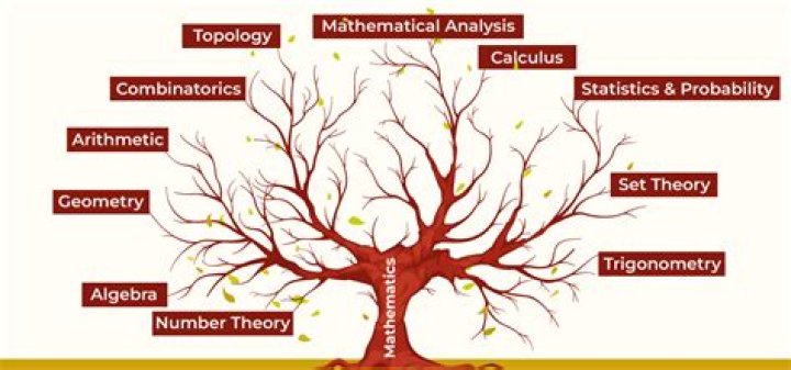 What kind of math is on Ptcb?