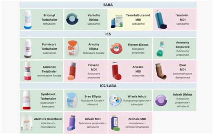 What medications are bronchodilators? | ContextResponse.com