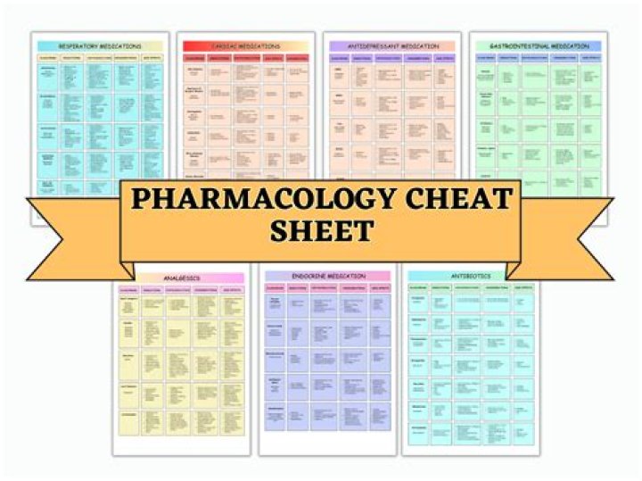 What should I study for IFOM?