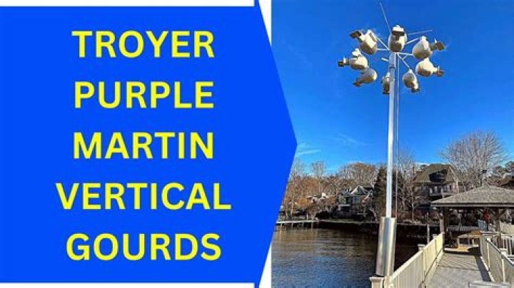 Where do you hang purple martin gourds?
