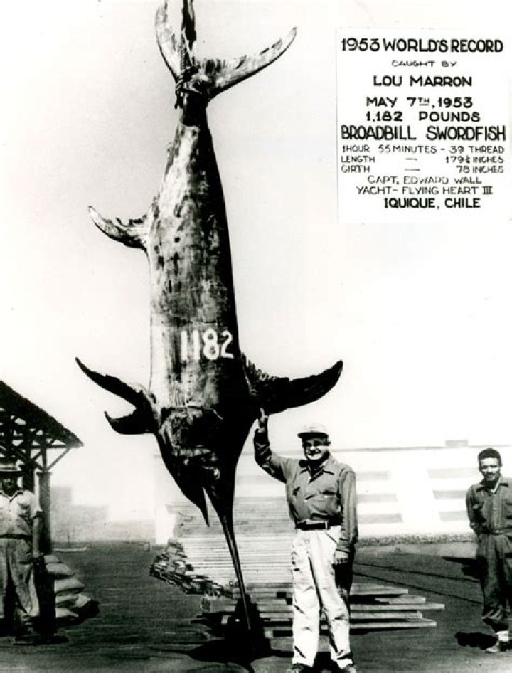 Who wrote swordfish